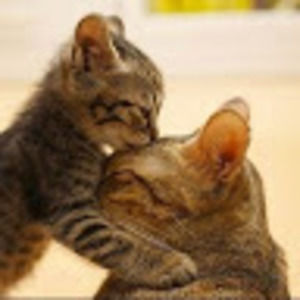 Meet your Posher, Dee